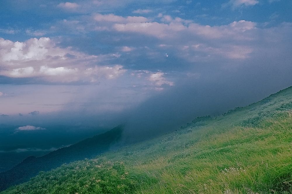 Photograph by Roman Popov