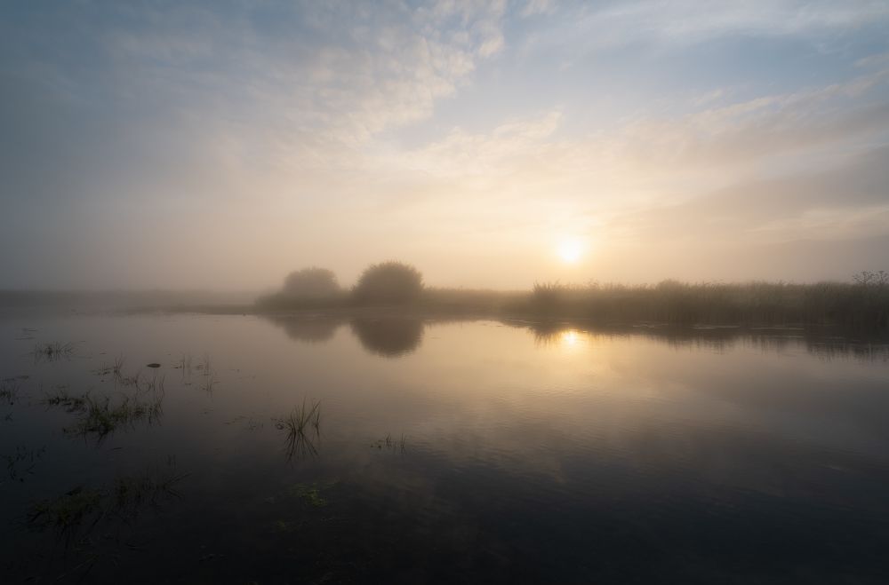 Photograph by Овчинникова Наталья