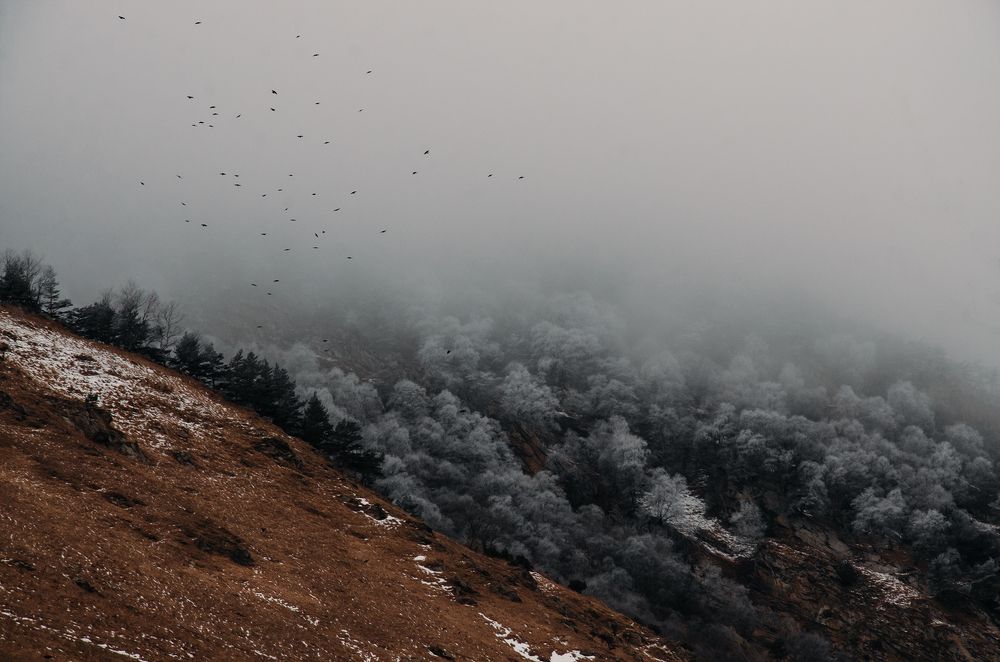 Фотография автора Яковлева Людмила