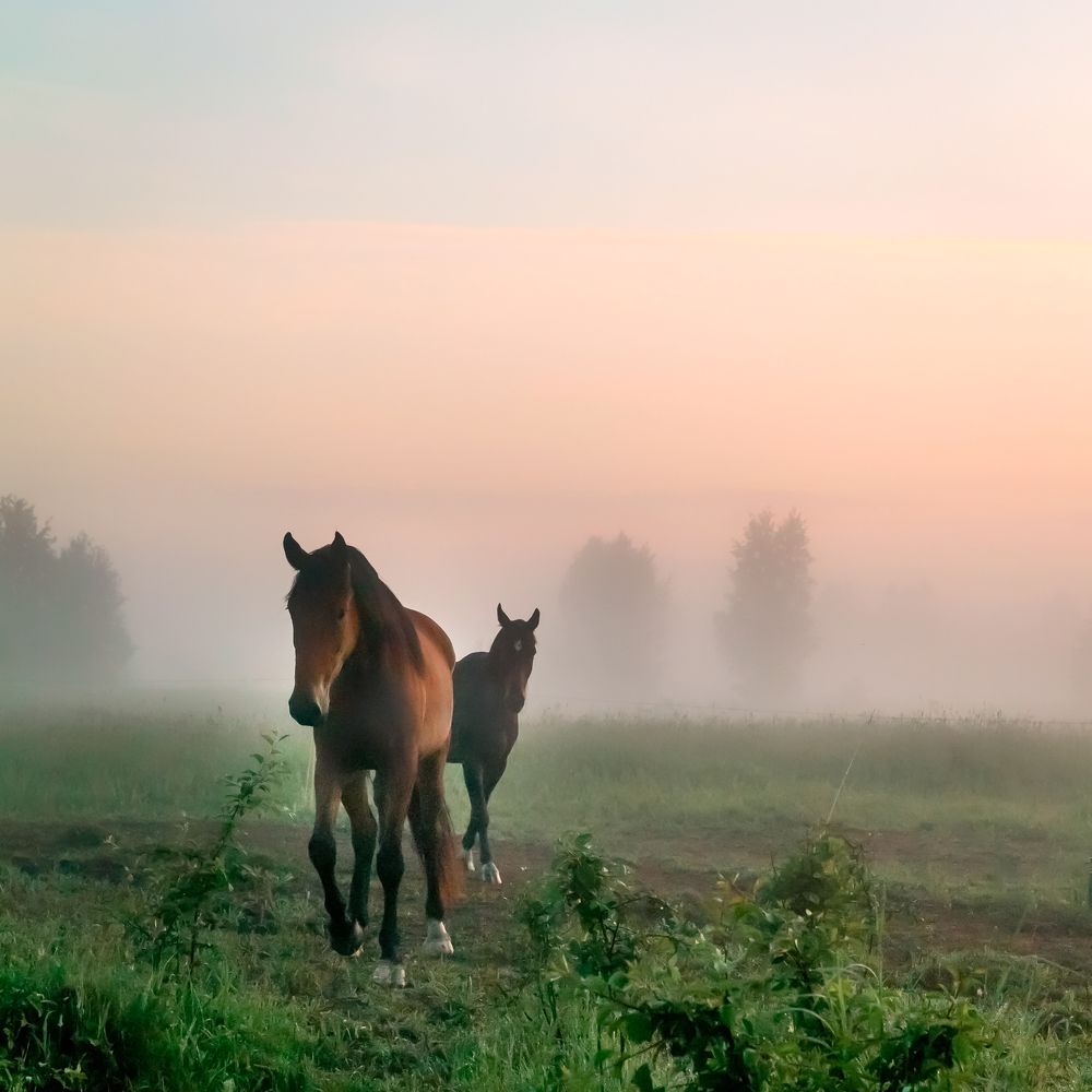 Photograph by Константин Гончаров