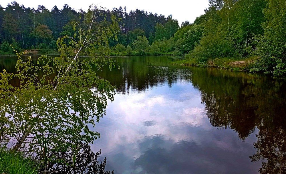 Photograph by натапов леонид