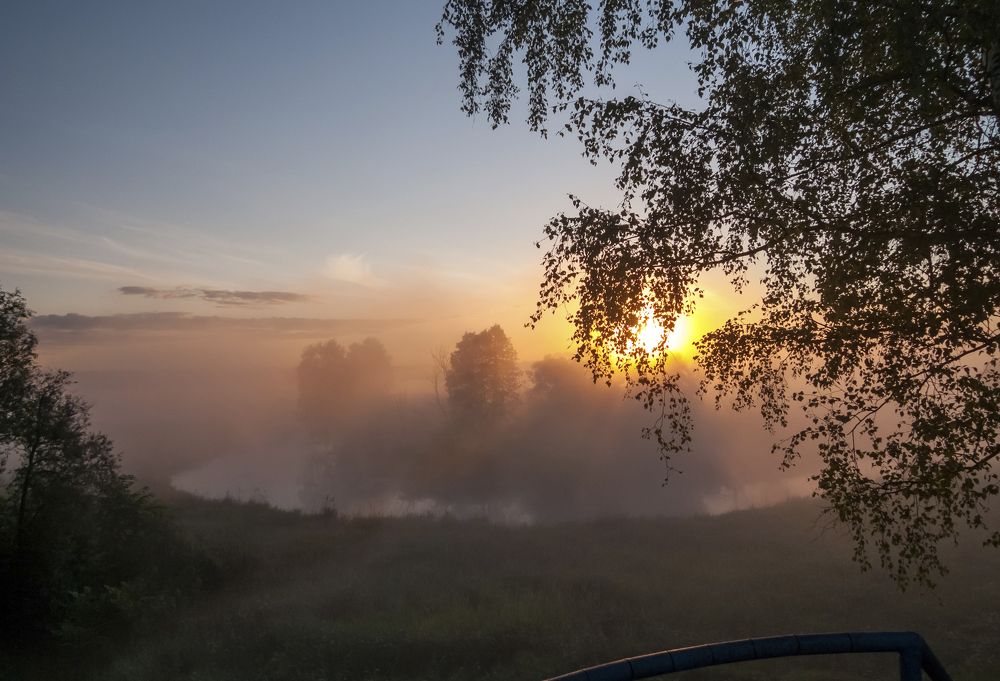 Photo #9155764