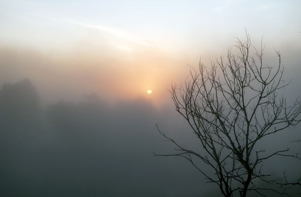 Photograph by Valery Kleymenov