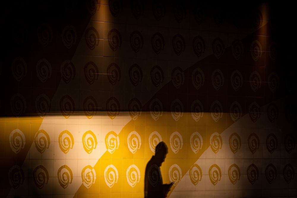 Фотография автора Jose Carlos Torres Goncalves Jr