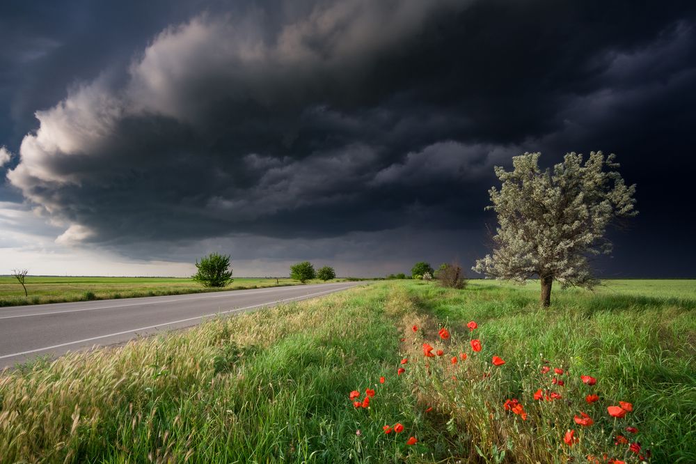 В ожидании бури...