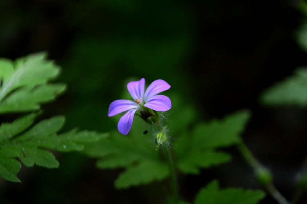 Photograph by Светлана Мазурова