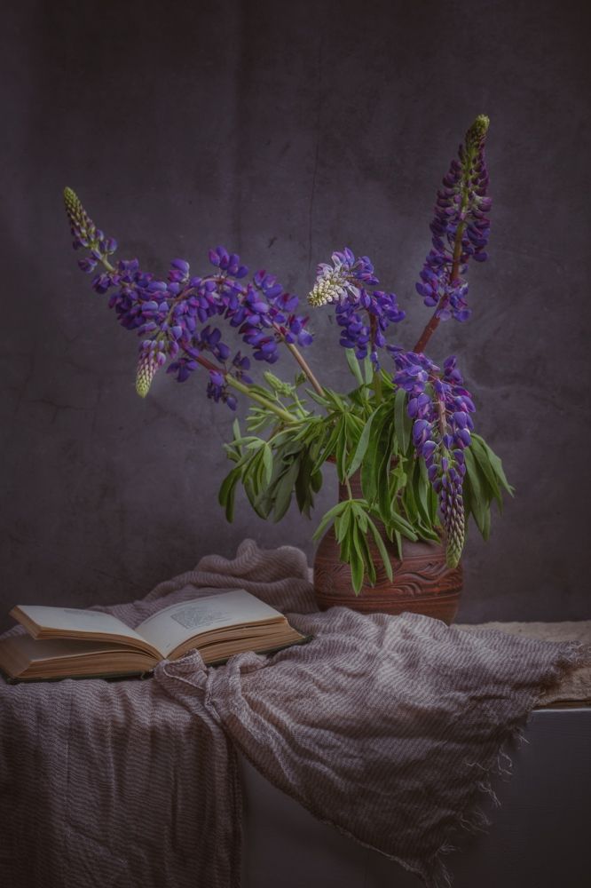 Photograph by Tatiana Kravchuk