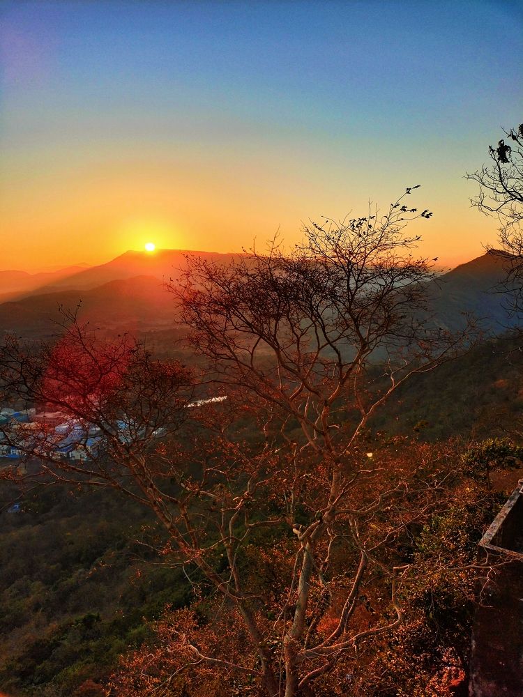 Sunlight landscape