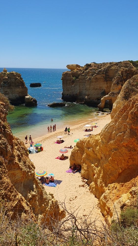 Фотография автора Angun Angusha