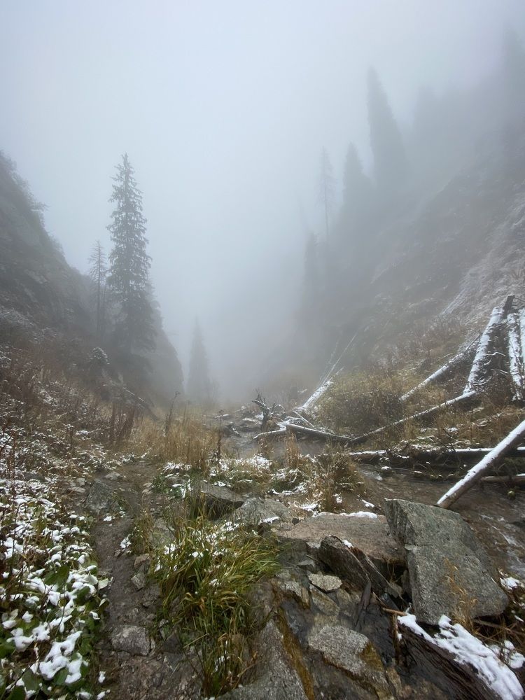 Photograph by Екатерина Вишнякова