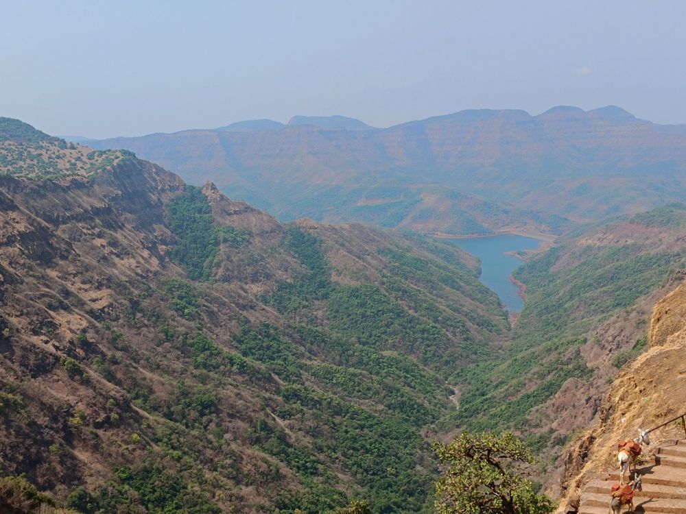 Photograph by Sujit mishra