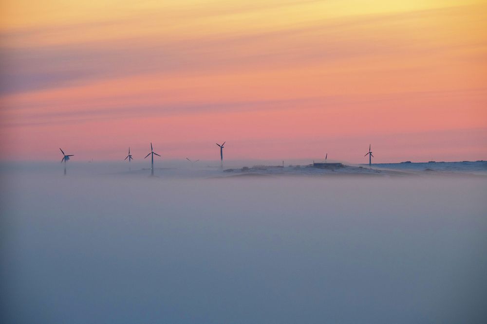 Фотография автора Александр Ши