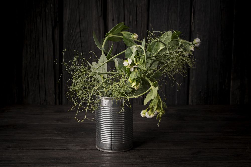 Photograph by Евгений Орлов