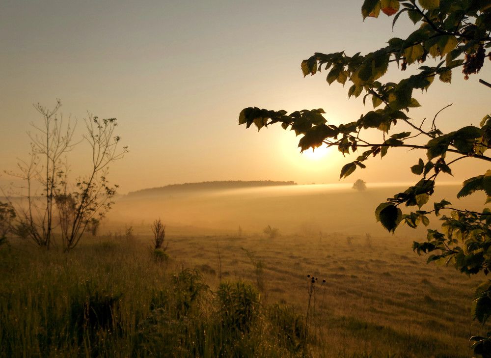Photograph by Валерий Савостьянов