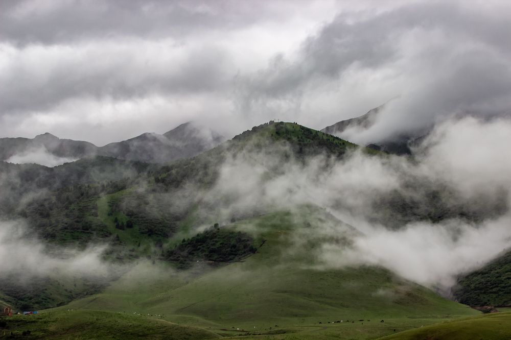 Photograph by Василий Бережной