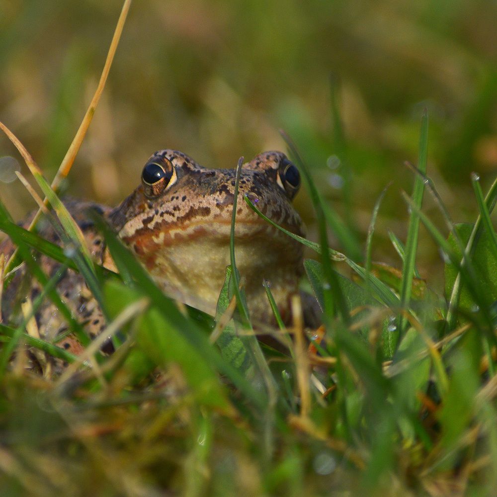Фотография автора Сергей Суворов