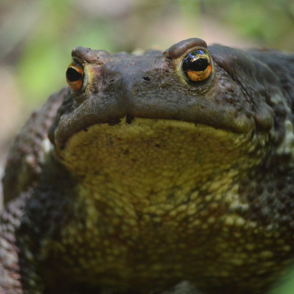 Фотография автора Сергей Суворов