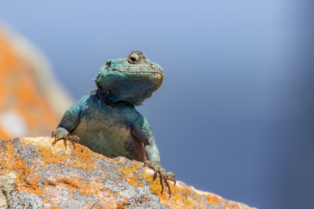 Photograph by Василий Бережной