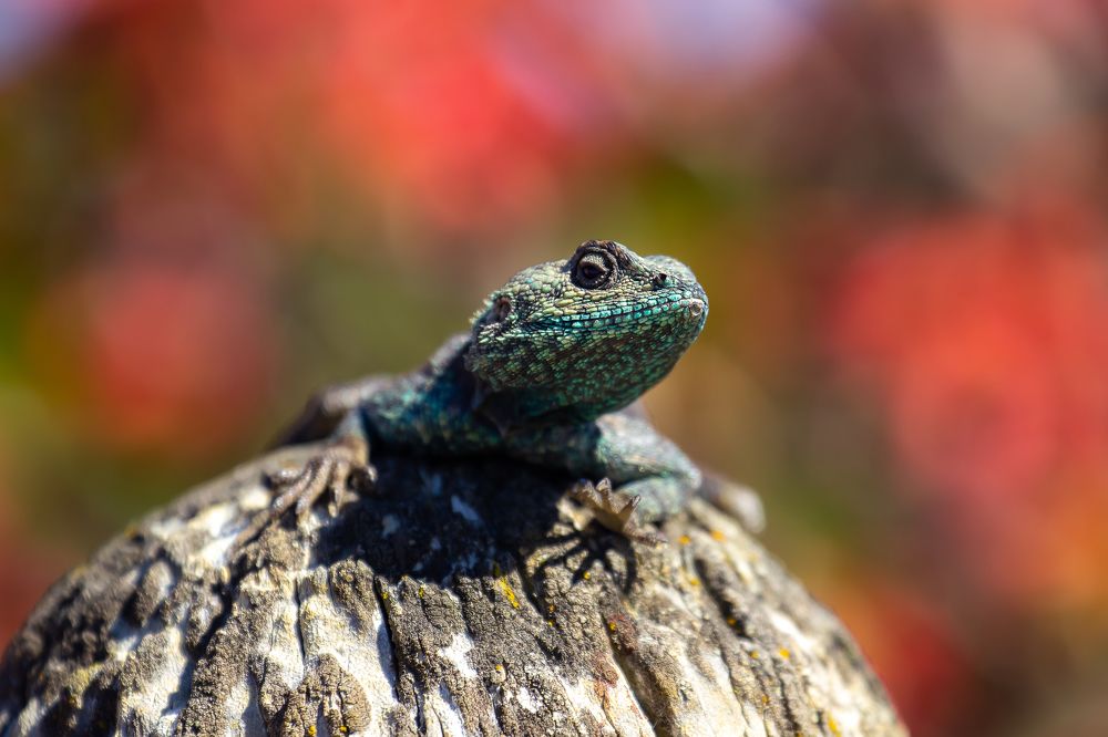 Photograph by Василий Бережной