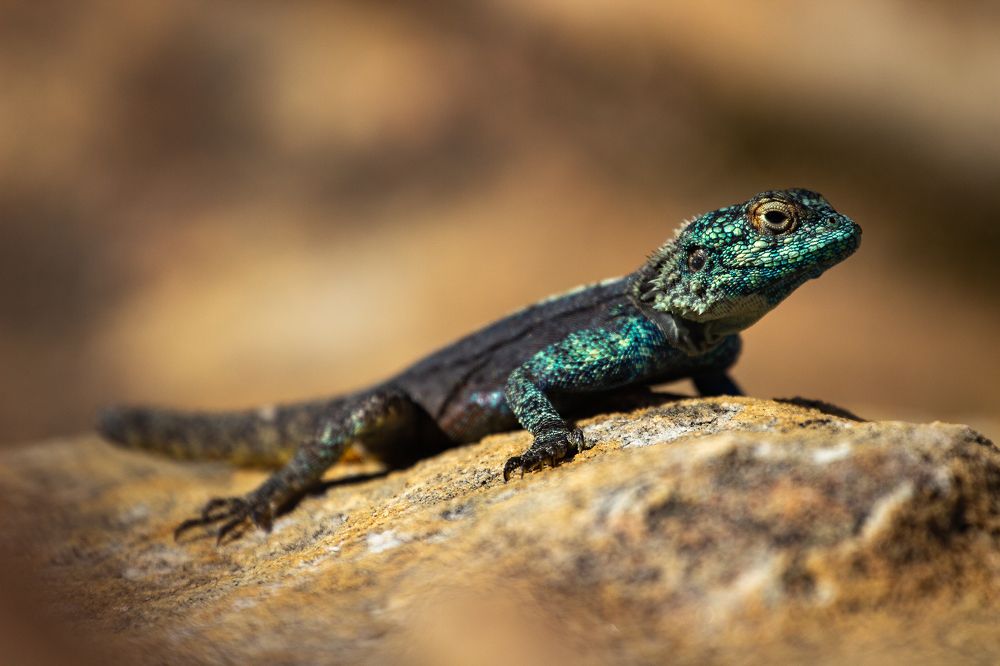 Photograph by Василий Бережной