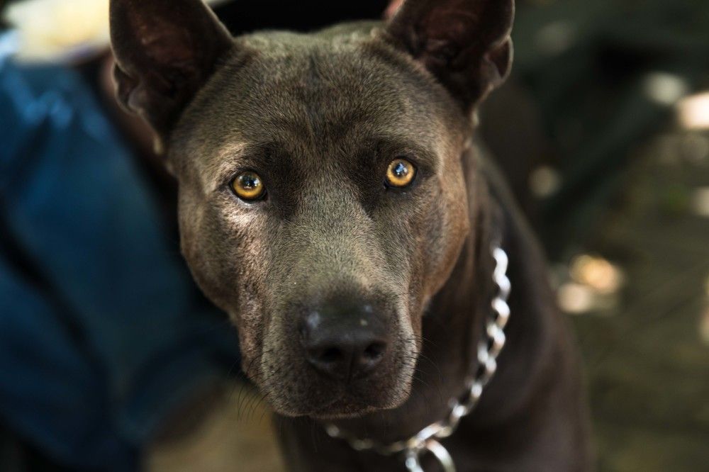 Photograph by klara Neikov