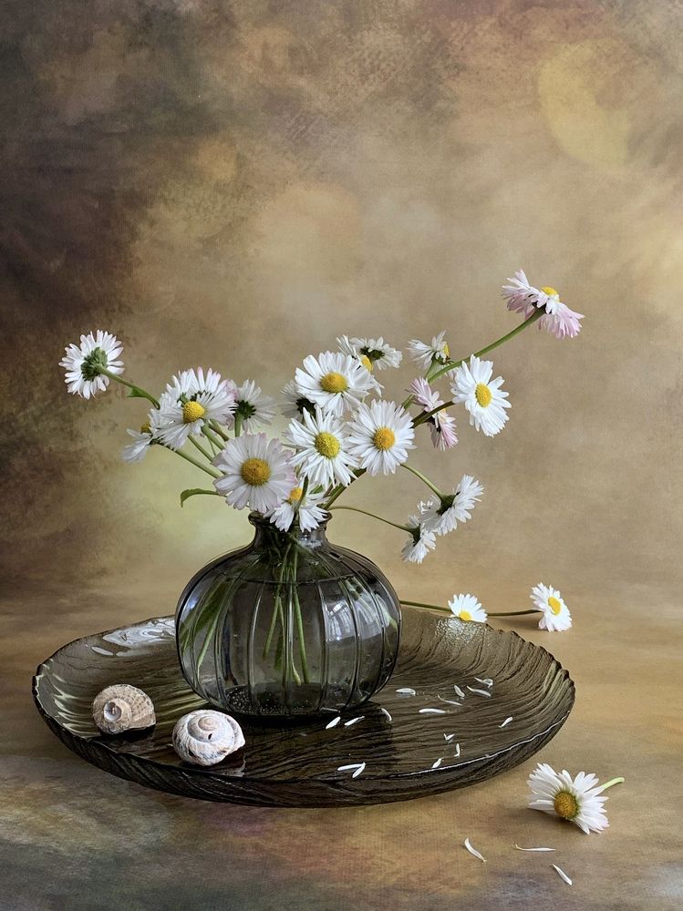 Photograph by Татьяна Семёнова