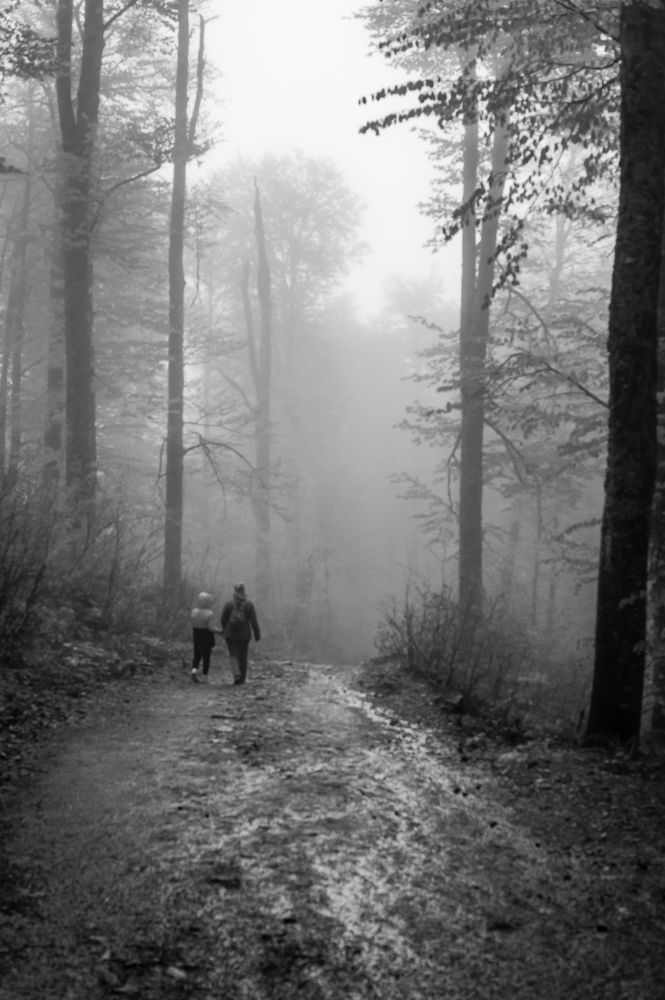 Photograph by Игорь Камов