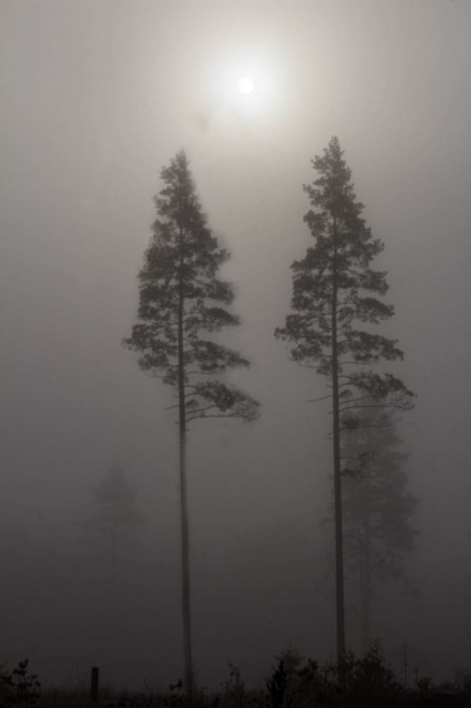 Photograph by Евгений Белов