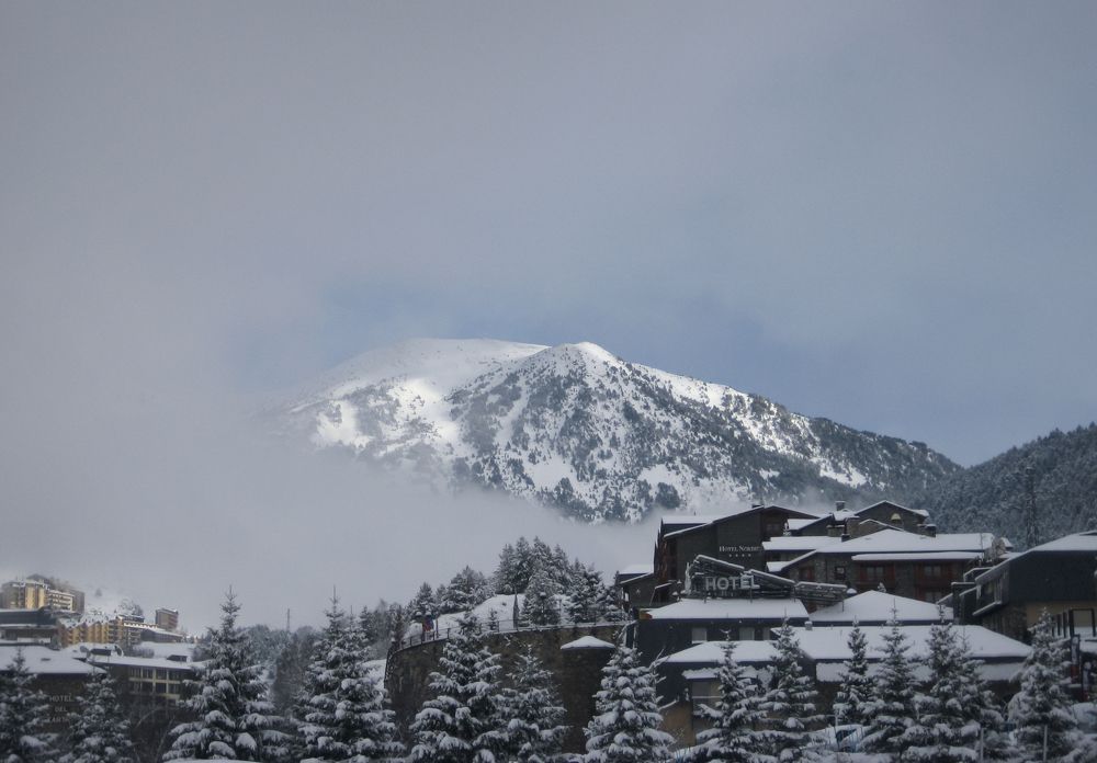 Photo #9156396