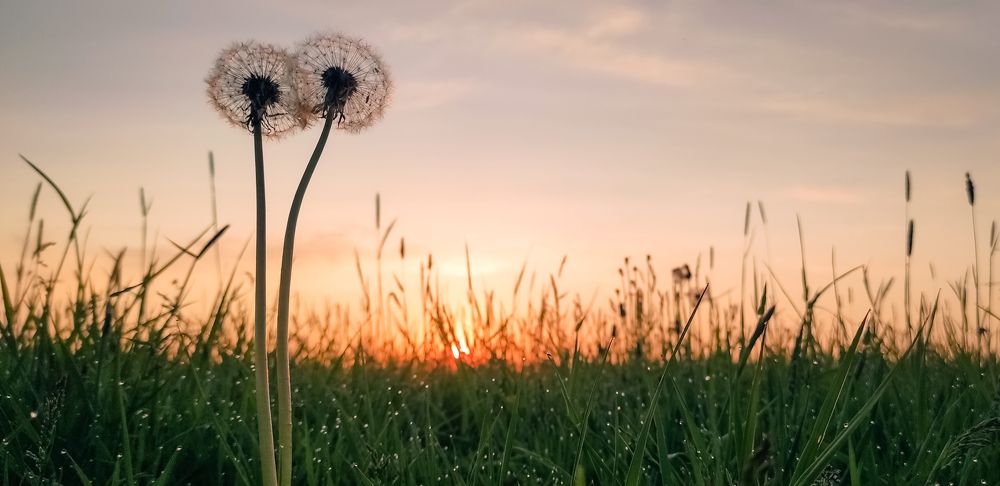 Photograph by Татьяна Романова