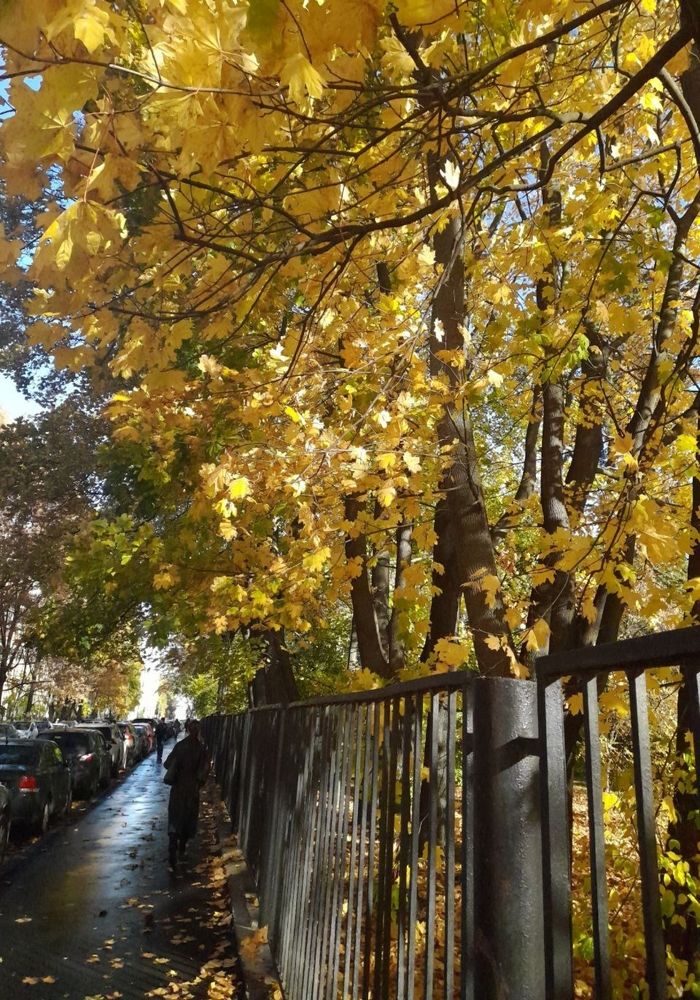 Photograph by Снежана Романова