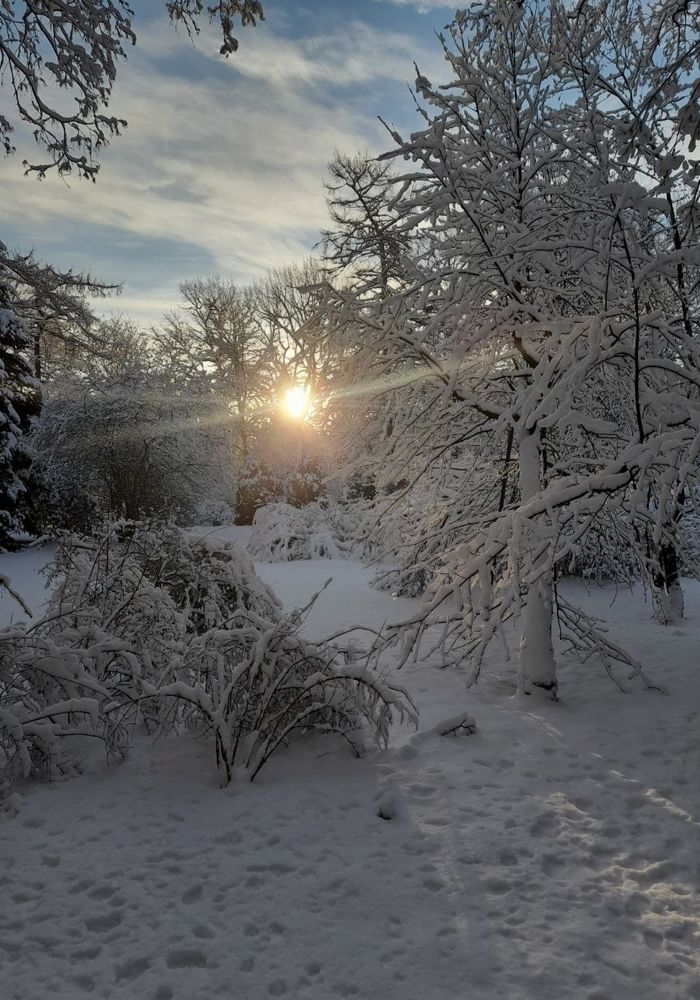 Photograph by Снежана Романова