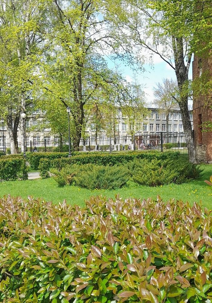 Photograph by Снежана Романова