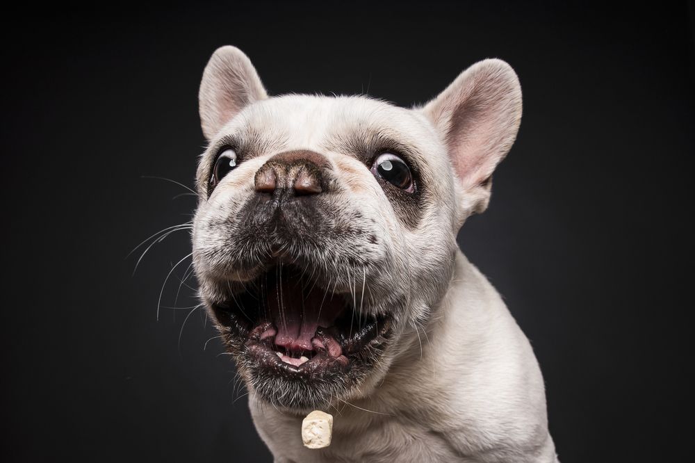 Photograph by Lee Jie