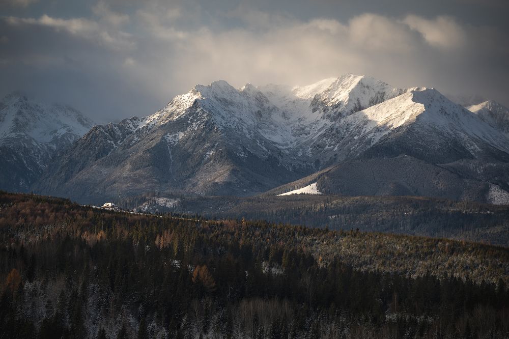 Photograph by Marcin Nalepka