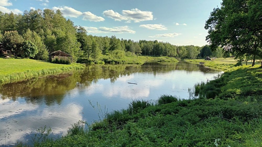 СЕЛЬСКИЙ ПЕЙЗАЖ