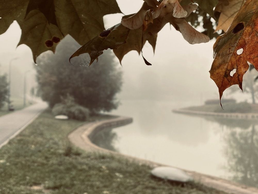 Photograph by Ольга Барулина