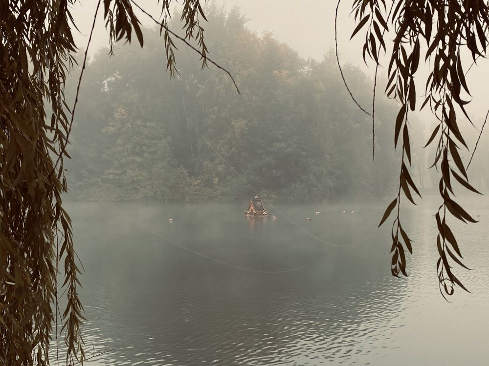 Photograph by Ольга Барулина