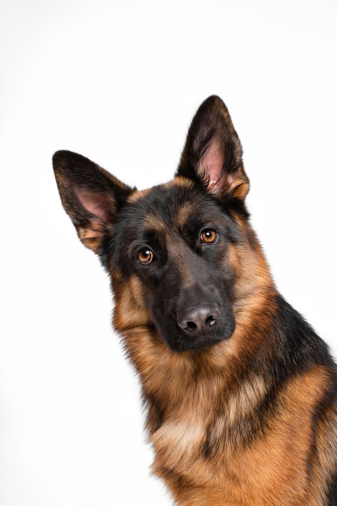 Photograph by Lee Jie