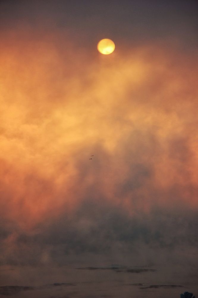 Photograph by Владимир Сушкин