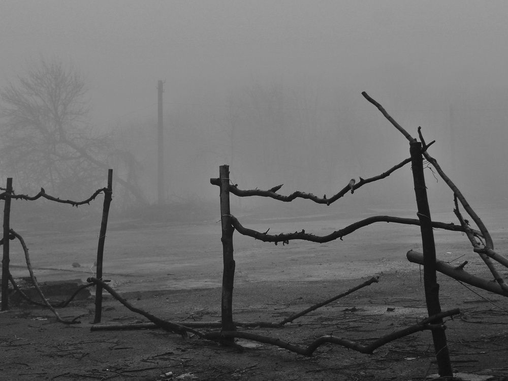 Photograph by Sergey Velichko