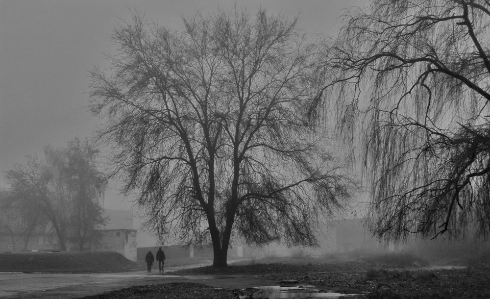 Photograph by Sergey Velichko