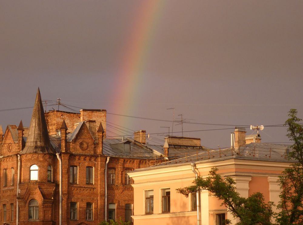 Фотография автора Нонна Подольская
