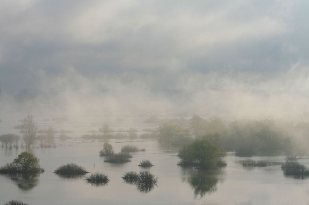 Фотография автора Татьяна Шебаршенко