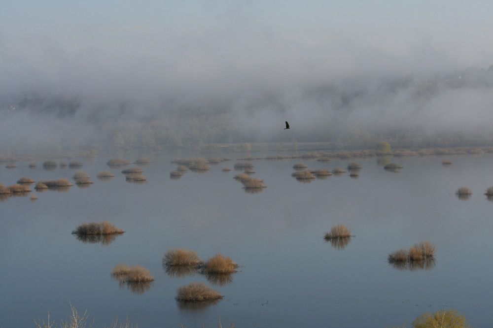Фотография автора Татьяна Шебаршенко