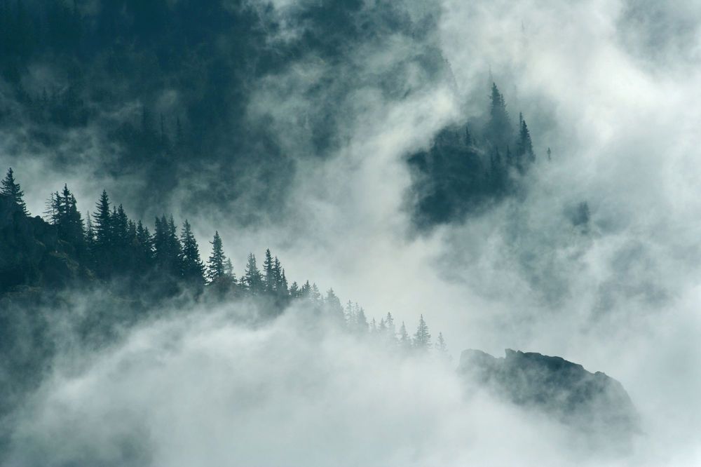 Photograph by Nenov Angel