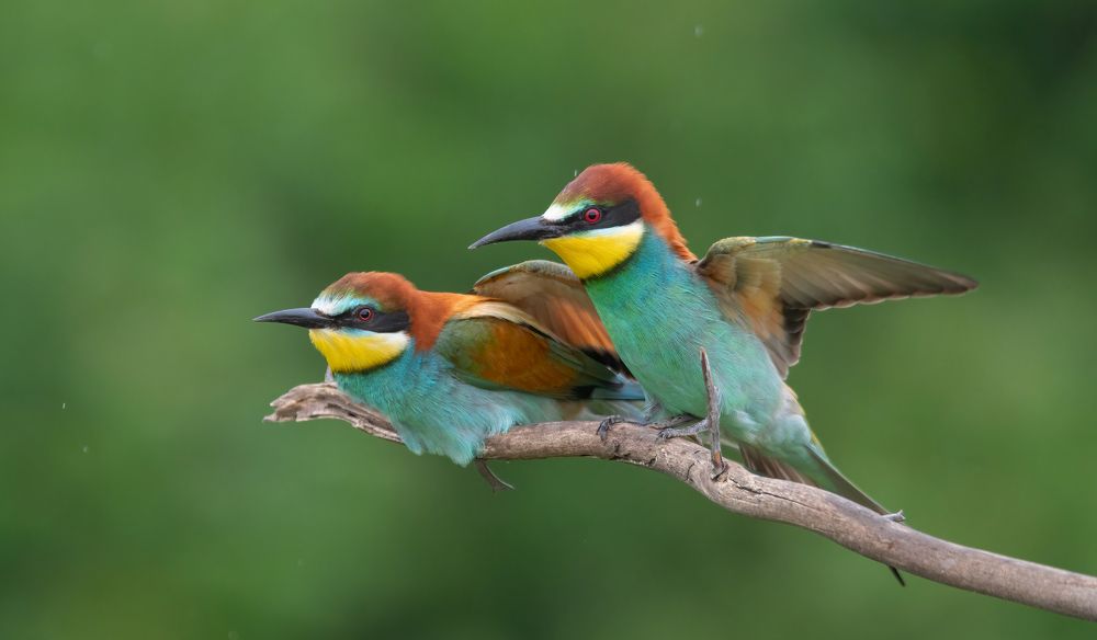 Photograph by Плеханов Александр