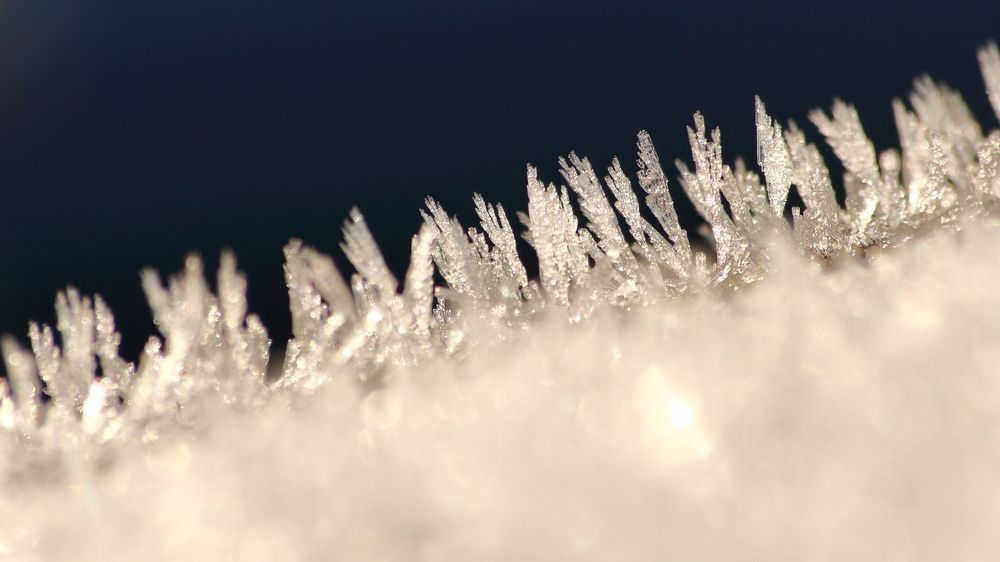 Фотография автора Михаил Кротков