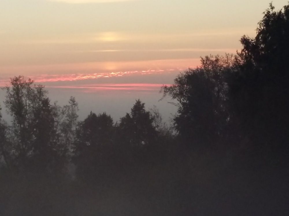 Photograph by Елена Горева