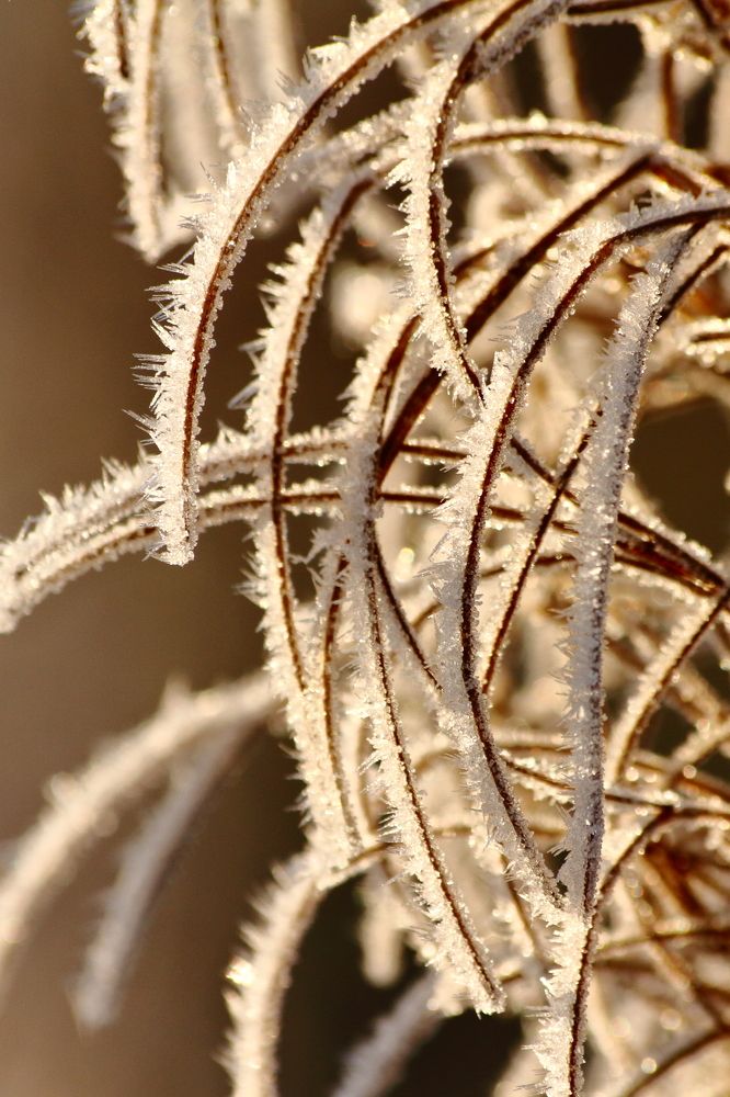 Фотография автора Михаил Кротков